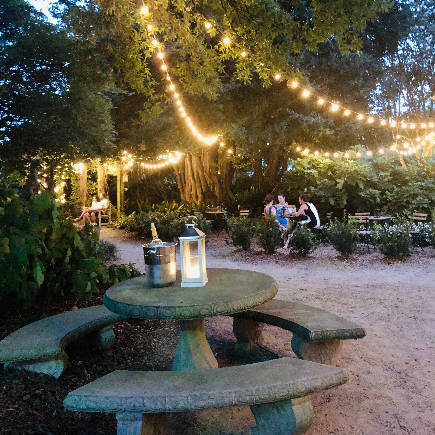 Rosie's Wine Garden used to be called McGill's Rose Garden in NODA, Charlotte, NC.