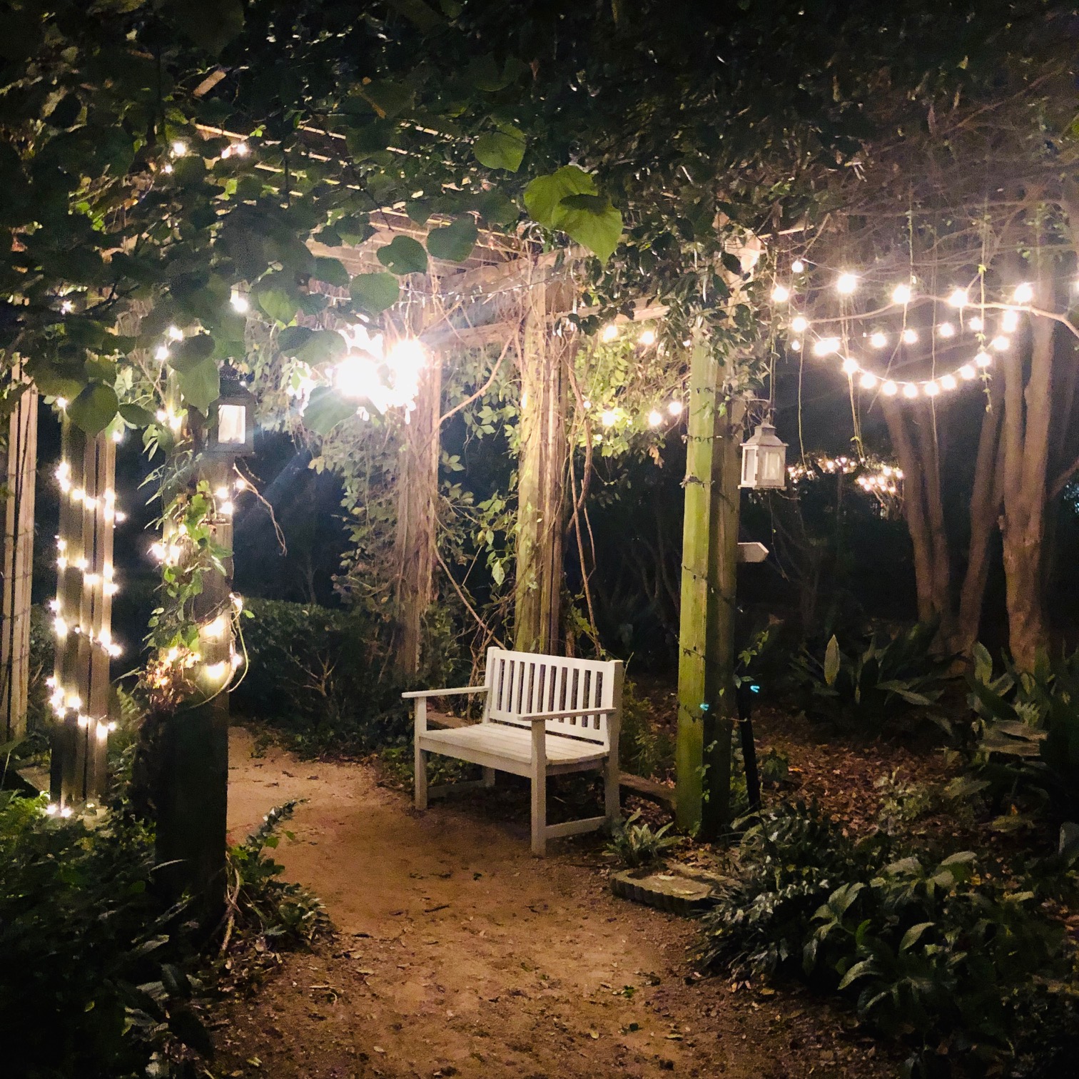 Rosie's Wine Garden in Noda, Charlotte, NC features quaint garden benches and fairy lights