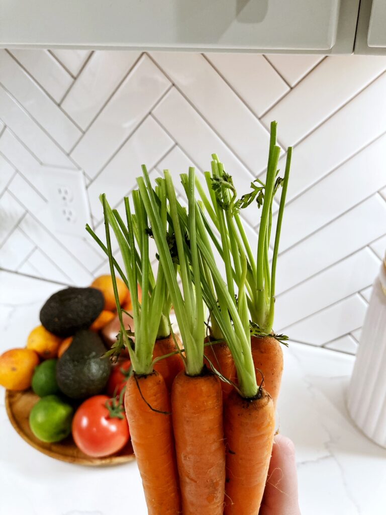 bunch of carrots with carrot tops